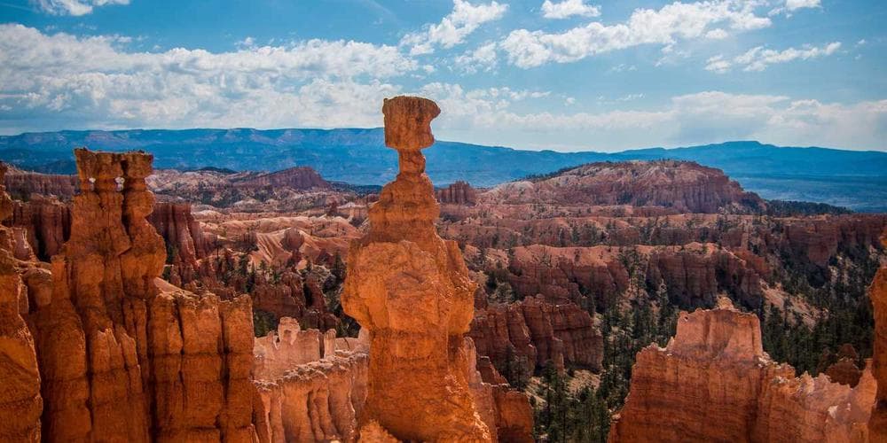 Amanda Batula & West Wilson Confirm Romance With Public Kiss At Yankees Game