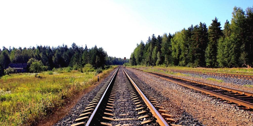 Dyson PencilVac Review 2026: Streamlined Design Meets Everyday Convenience