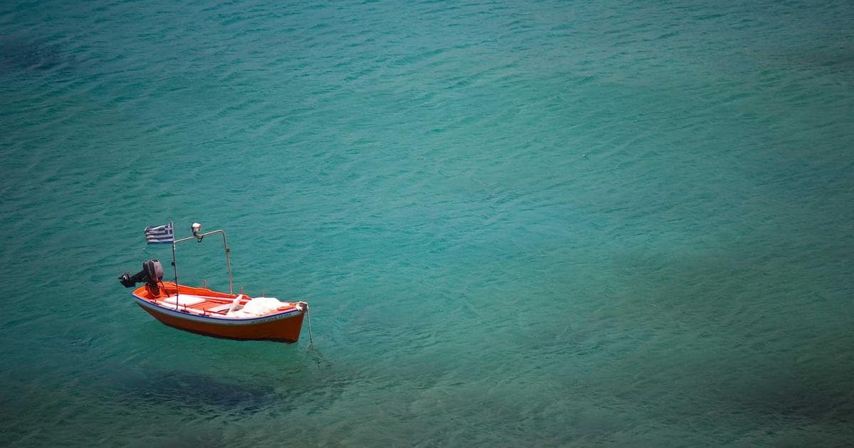 Family Seeks Funds After Tragic WWE Fan Death at WrestleMania