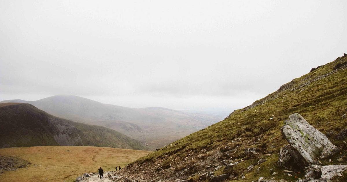 Grindr Wins WHCD Party