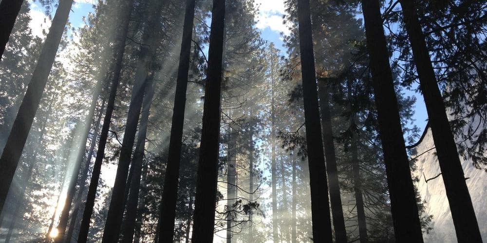 India's Snabbit Seeks $400M Valuation Amid Rapid Job Placement Growth and Investor Interest