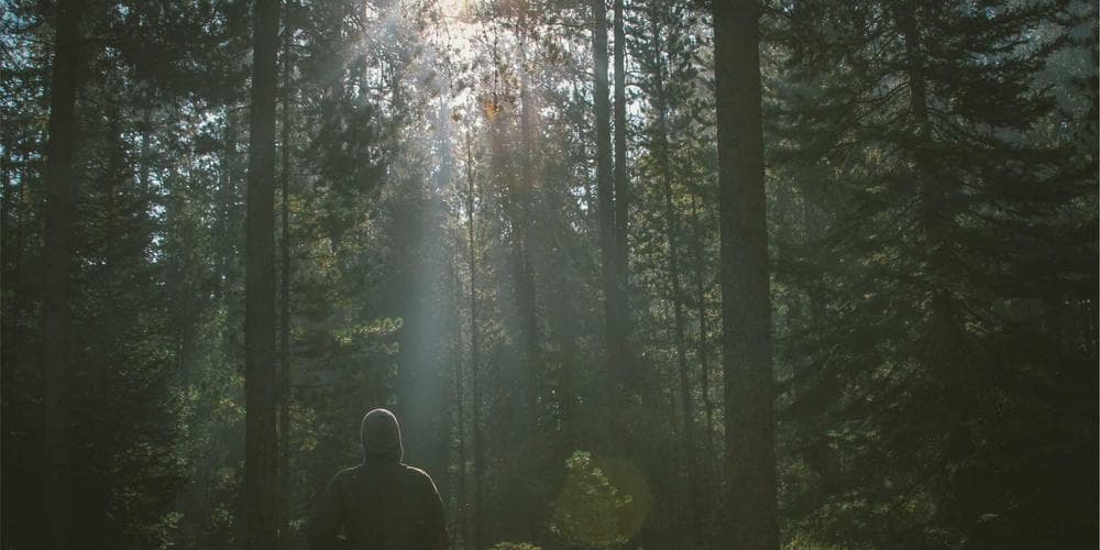 Michael Jackson Biopic Filming Wraps Up Immersive Concert Scenes