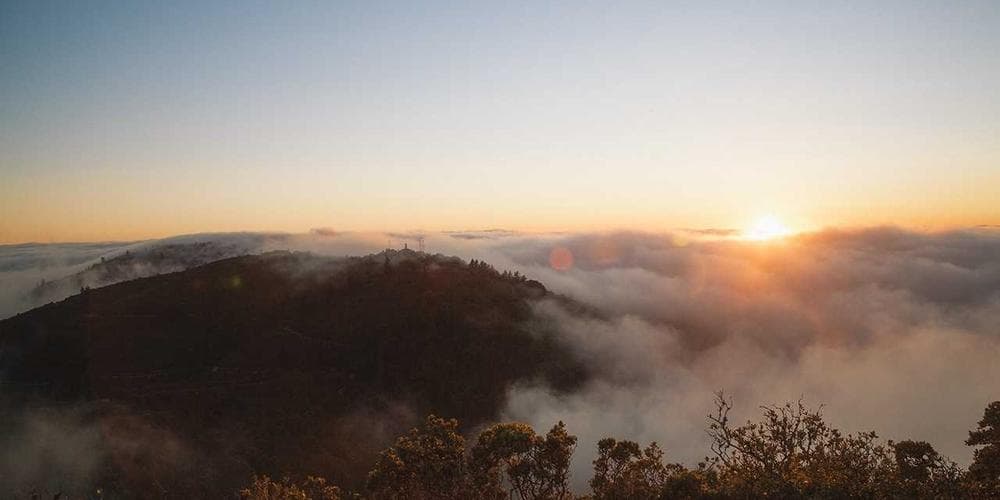 Kali Armstrong on WWE NXT Call-Up: Exclusive Interview