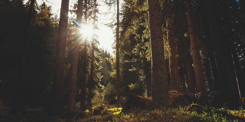 Watches and Wonders 2026: The Most Exquisite Timepieces on Display