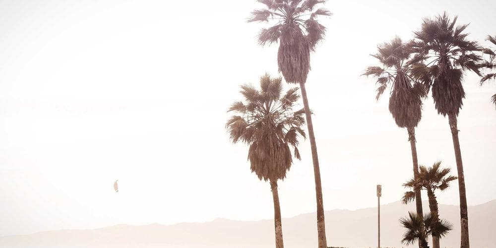 NSA Adopts Anthropic’s Mythos AI Model Amidst Pentagon Dispute