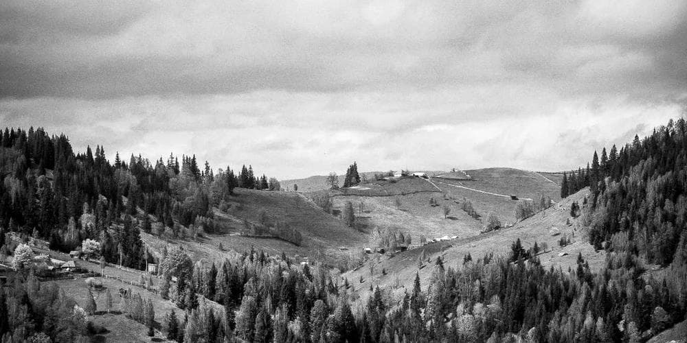 Will Trent Cast Reacts to Series Renewal