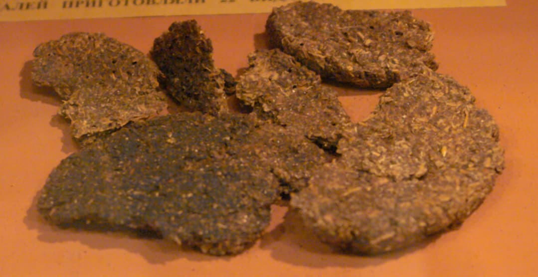 Luxury Pet Food Brand Golden Child Secures $37M Funding, Launches 'Five-Star' Dog Meals