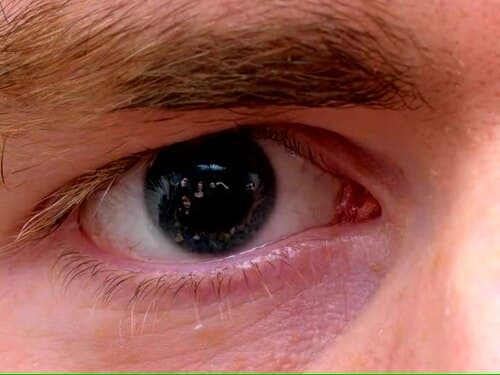 Palantir Employees Reportedly Question Ethics of Company's Government Contracts